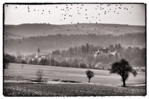 20110308_schoental_149-bearb-bw