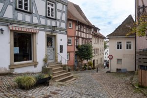 20231103_bad_wimpfen_009_edit