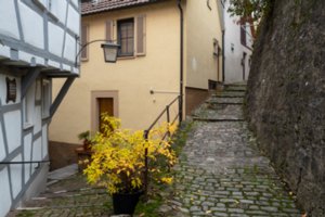 20231103_bad_wimpfen_112