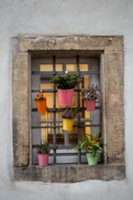 20231103_bad_wimpfen_222_edit