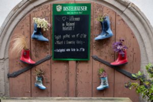 20231103_bad_wimpfen_224